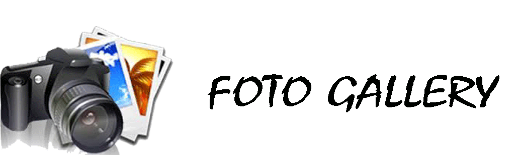 logo-foto
